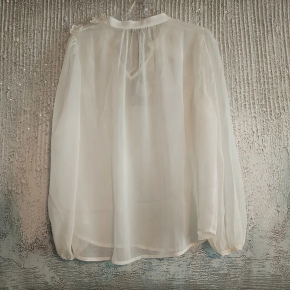 Adrianna Papell Floral Embroidered Chiffon Semi-Sheer Blouse Sz-L - Picture 4 of 8